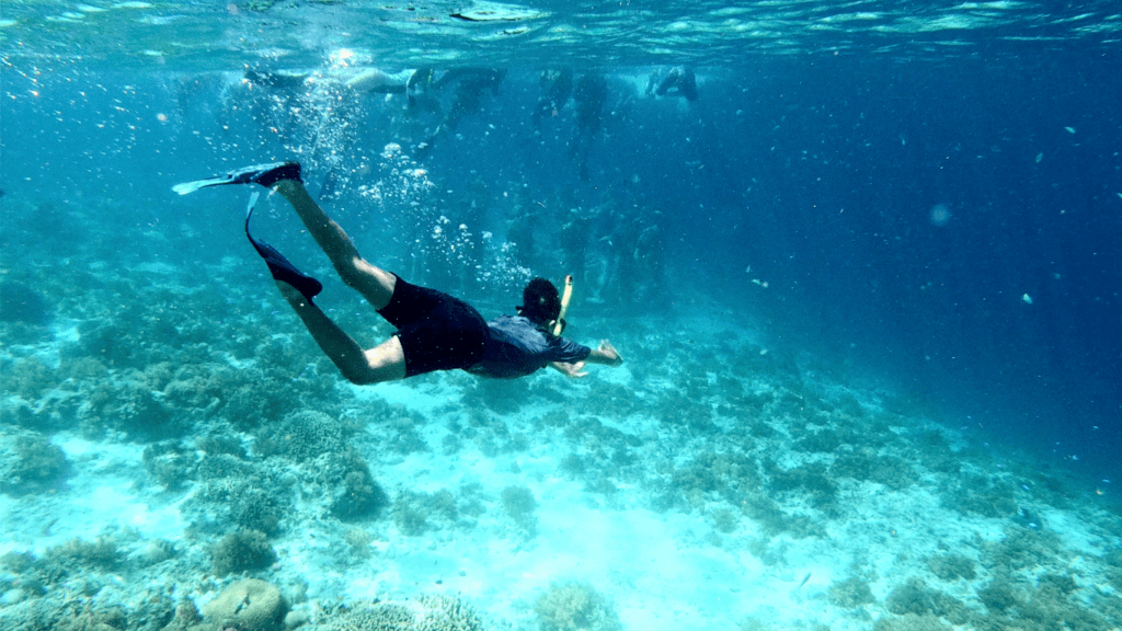 Snorkeling 