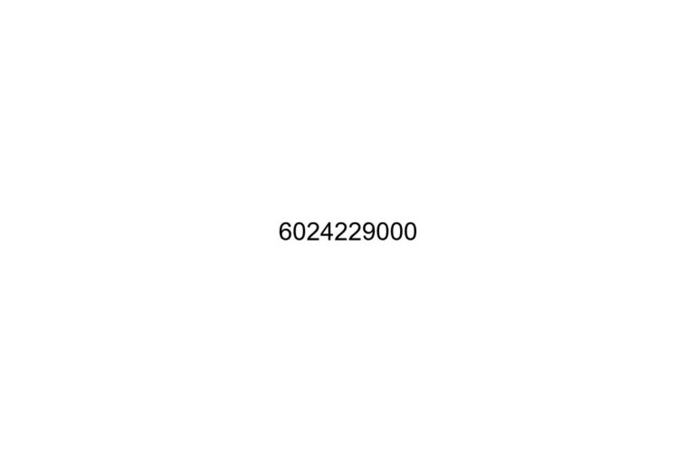 6024229000