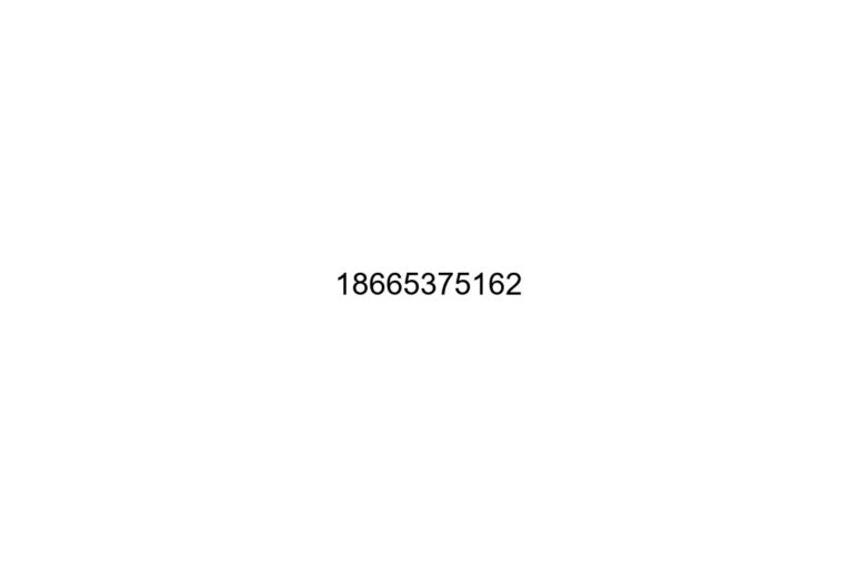 18665375162