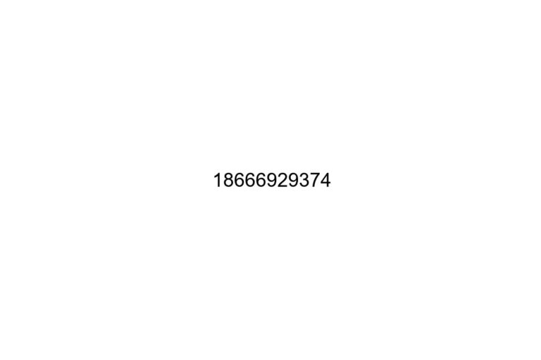 18666929374