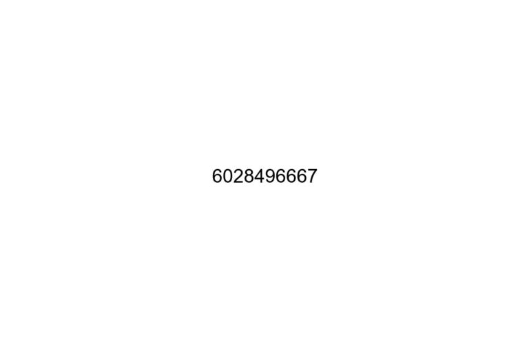 6028496667