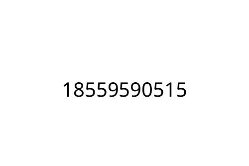 18559590515