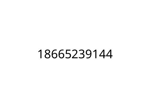 18665239144