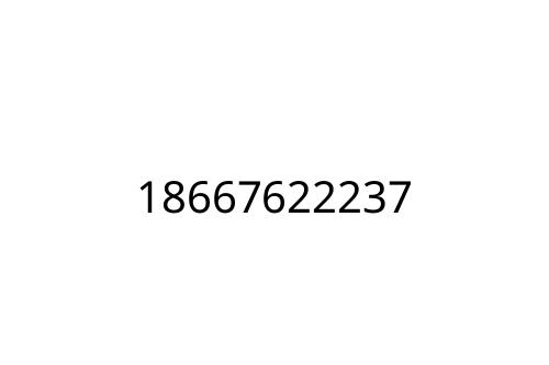 18667622237
