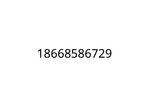 18668586729