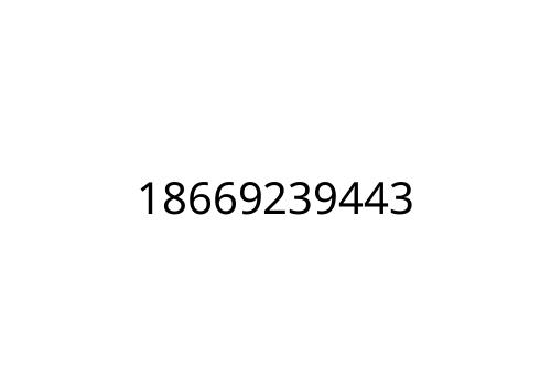 18669239443