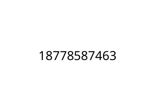 18778587463
