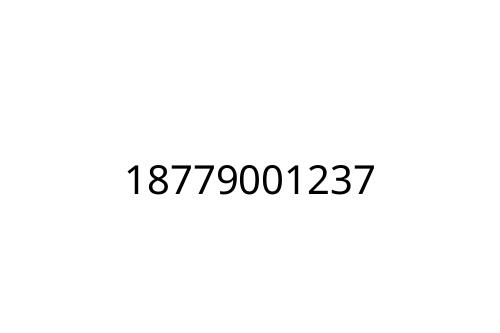 18779001237