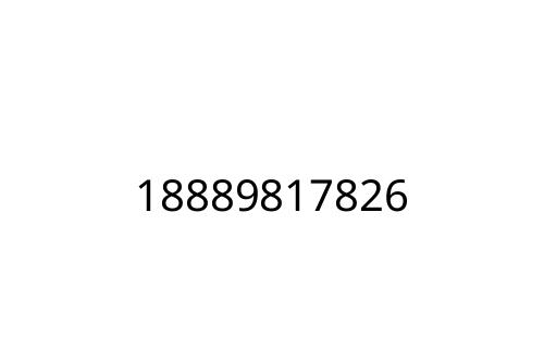 18889817826