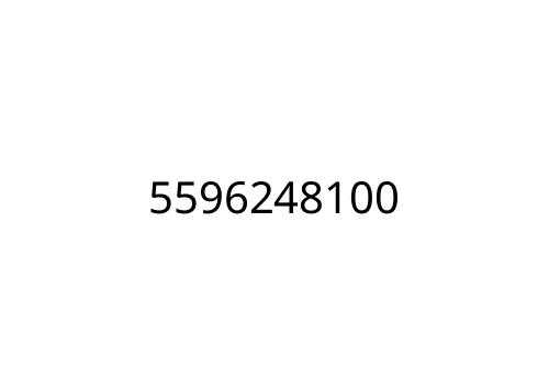 5596248100