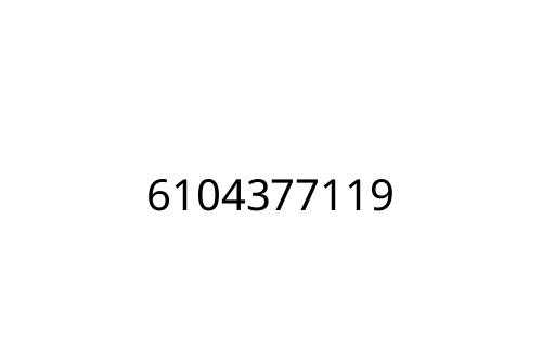 6104377119