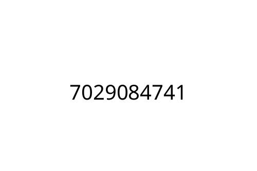 7029084741