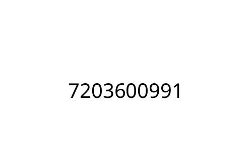 7203600991