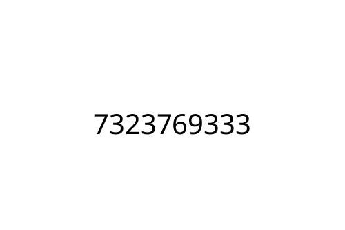 7323769333