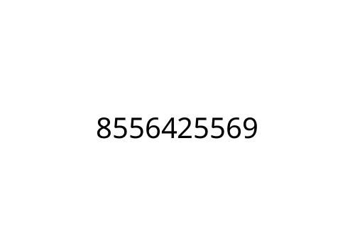 8556425569