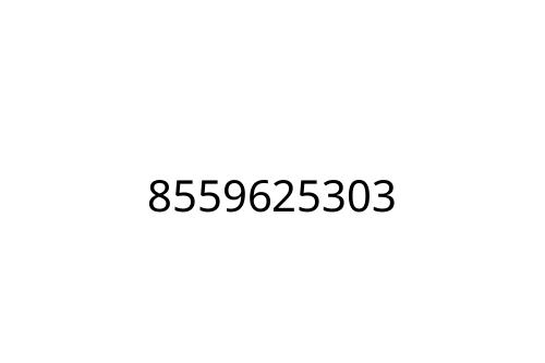 8559625303
