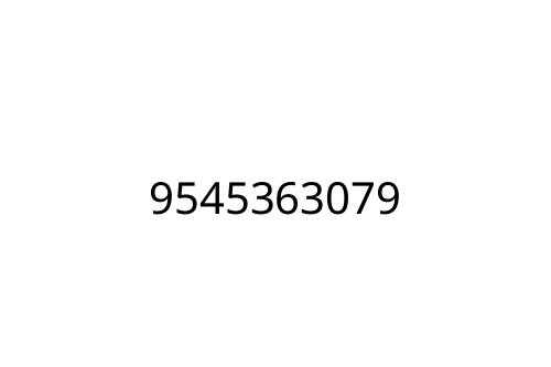 9545363079