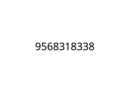 9568318338