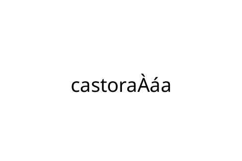 castora__a