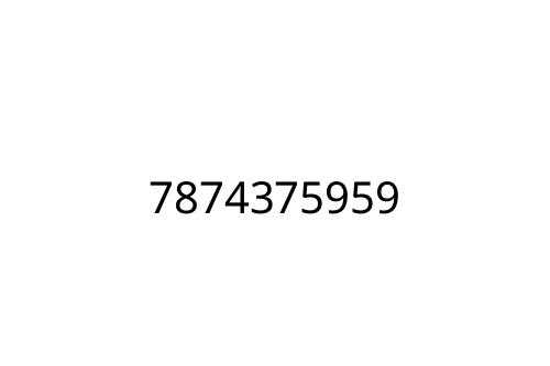 7874375959