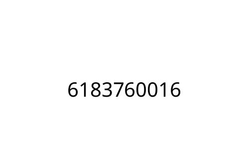 6183760016