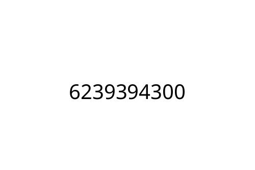 6239394300
