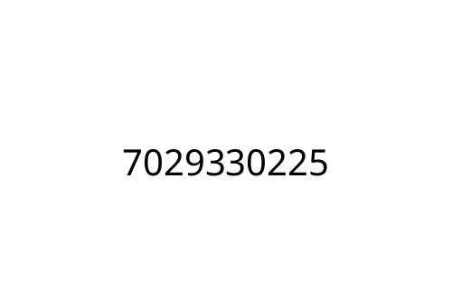 7029330225