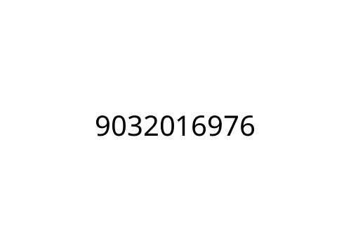 9032016976