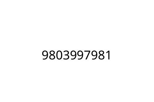 9803997981