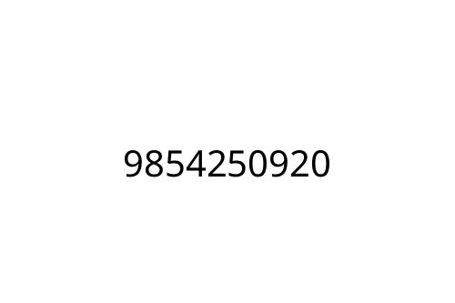 9854250920