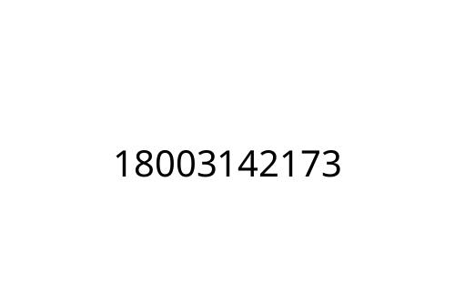 18003142173