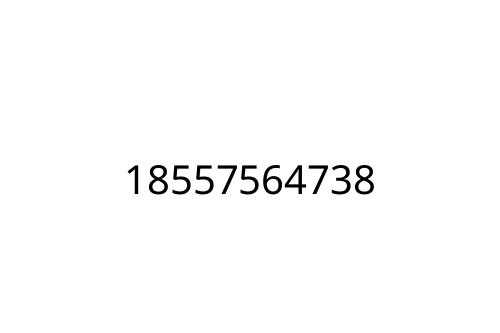 18557564738