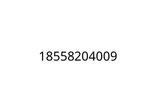 18558204009