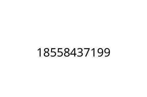 18558437199
