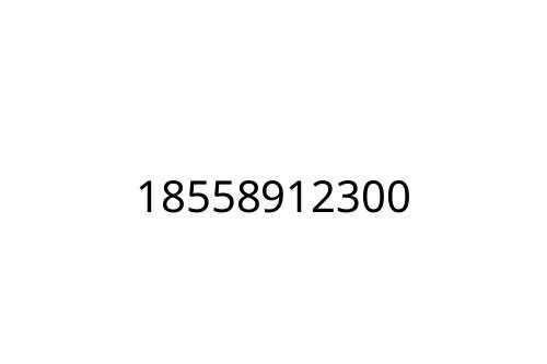 18558912300
