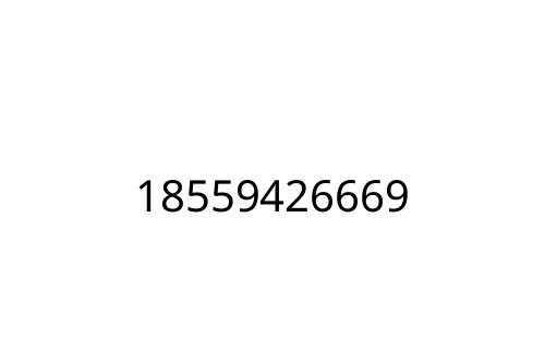 18559426669