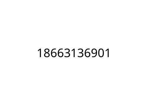 18663136901