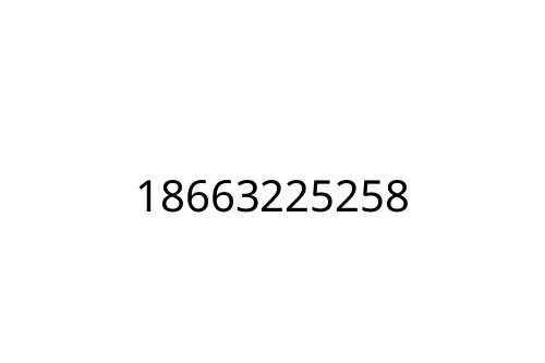 18663225258