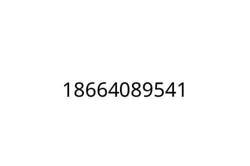 18664089541