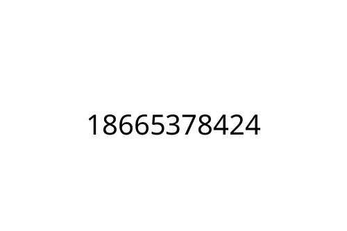 18665378424