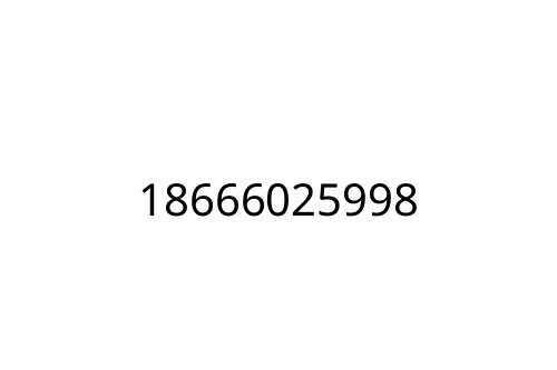 18666025998