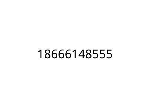 18666148555