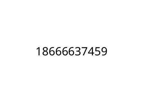 18666637459