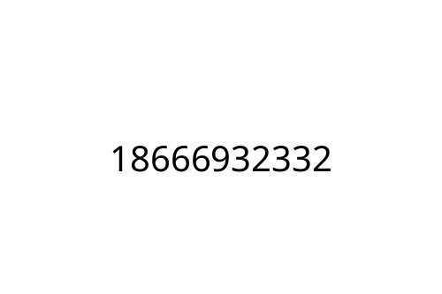 18666932332