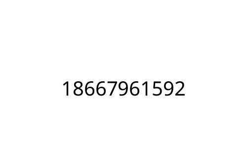 18667961592