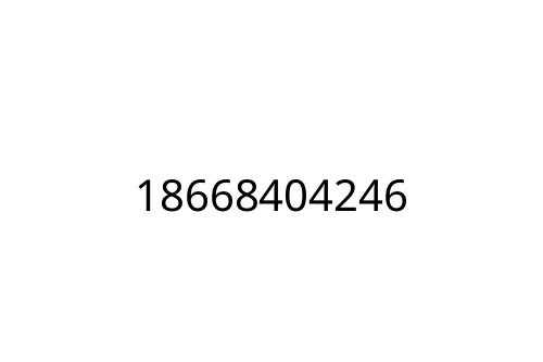 18668404246