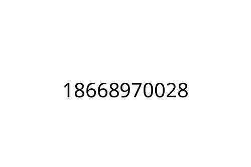 18668970028
