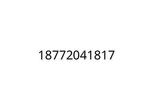 18772041817