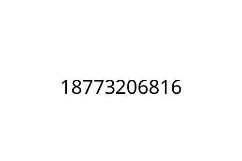 18773206816