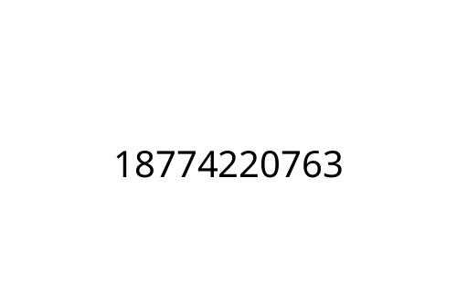 18774220763